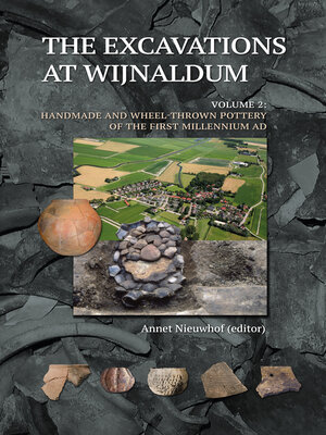 cover image of The Excavations at Wijnaldum